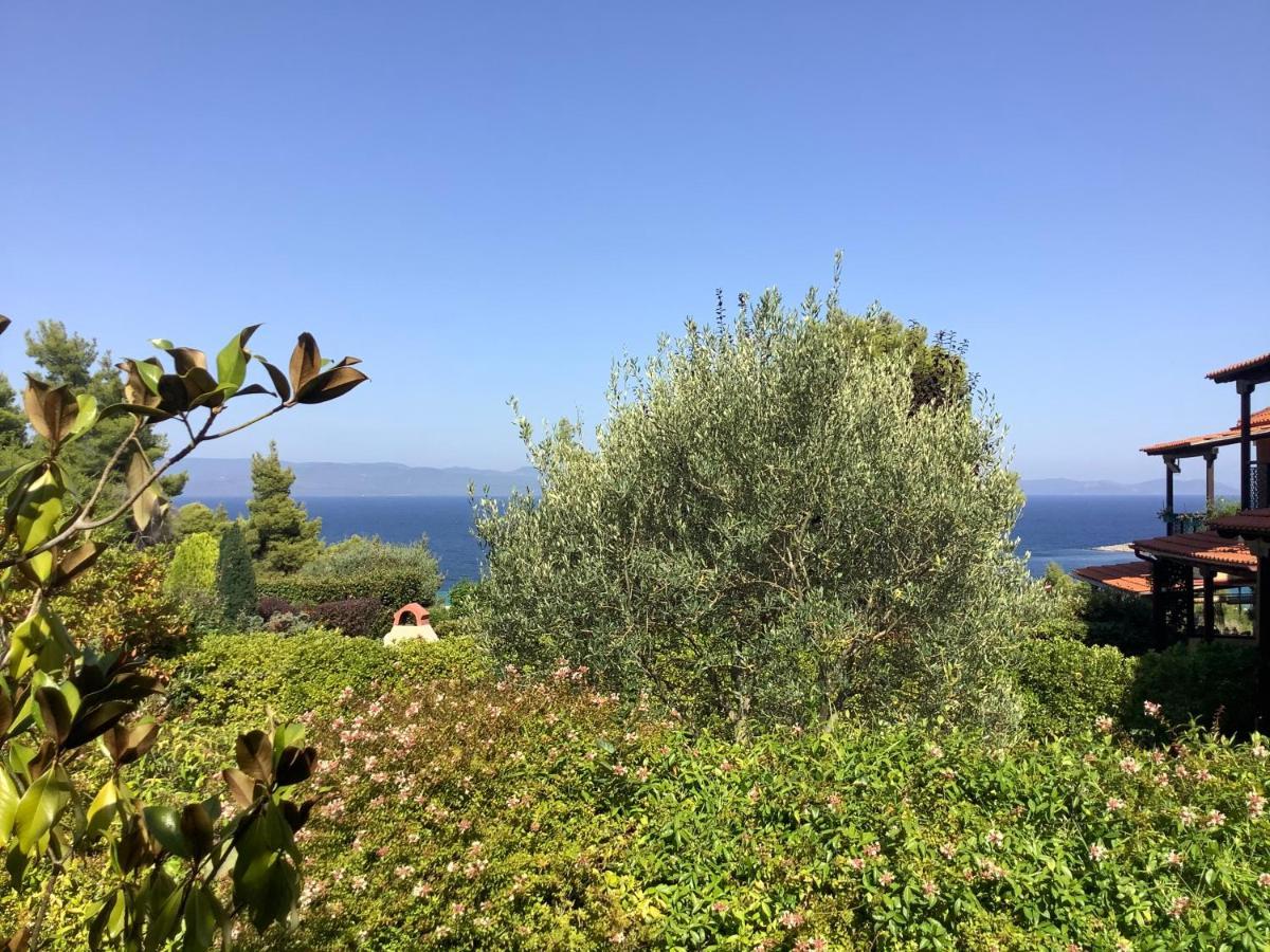 Amazing Villa With Views Sea In Paliouri Buitenkant foto